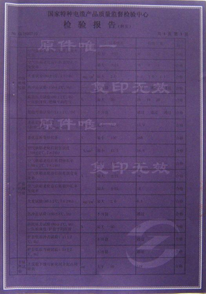 檢驗報告