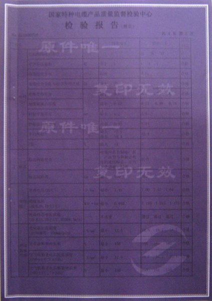 檢驗報告